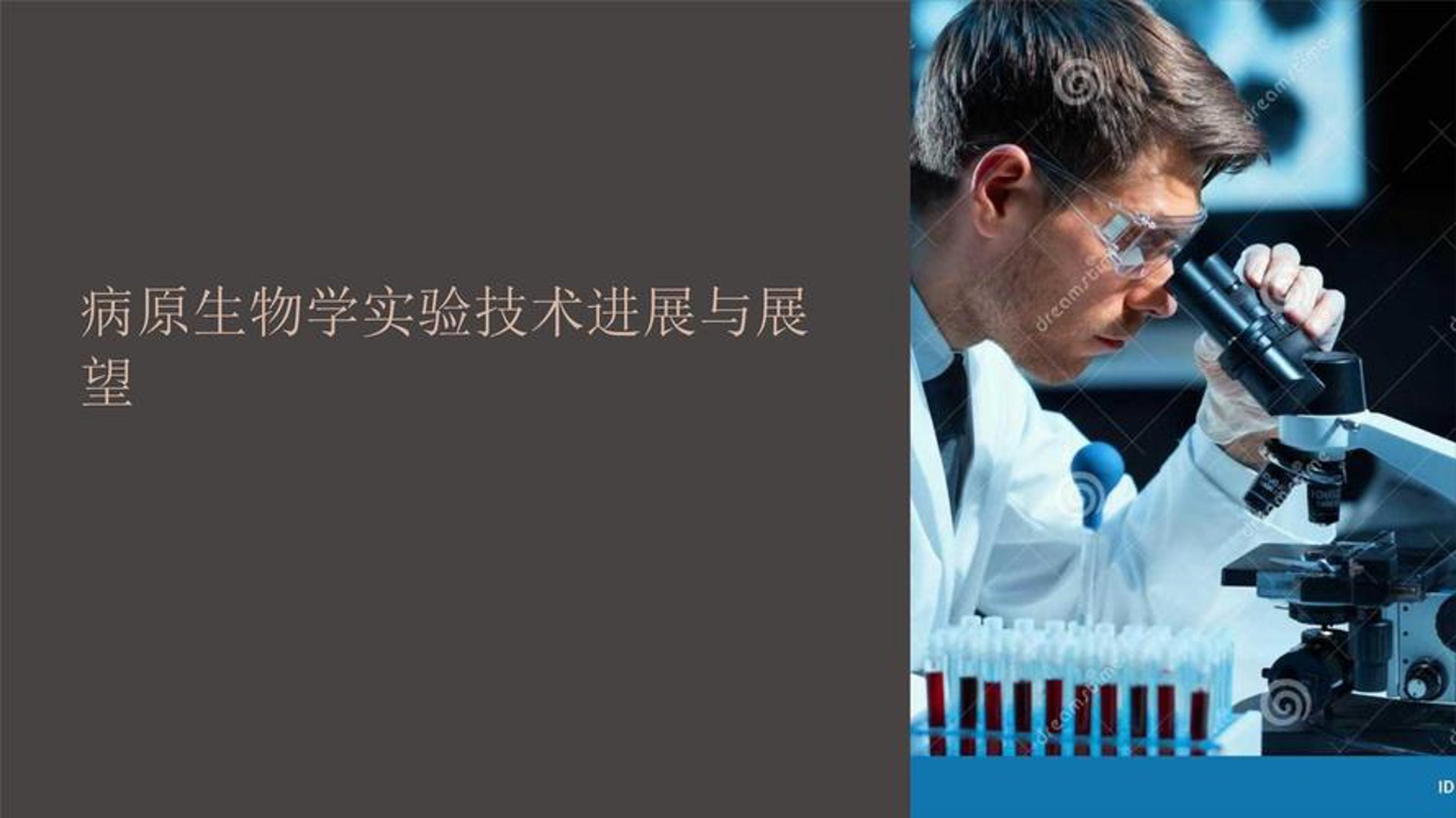 生物丹生物技术
